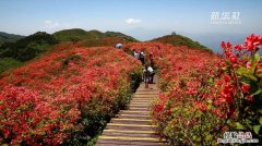 大围山有哪些旅游景点