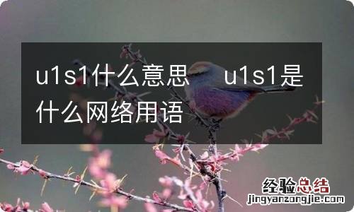 u1s1什么意思u1s1是什么网络用语