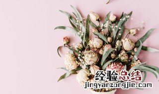 满天星怎么做成干花 满天星怎么做成干花保存