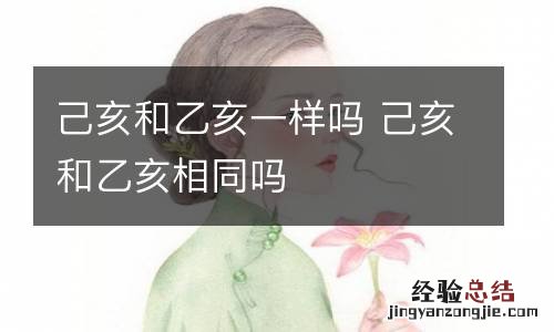 己亥和乙亥一样吗 己亥和乙亥相同吗