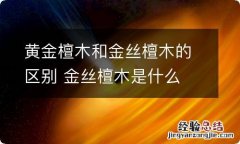 黄金檀木和金丝檀木的区别 金丝檀木是什么