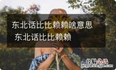 东北话比比赖赖啥意思 东北话比比赖赖