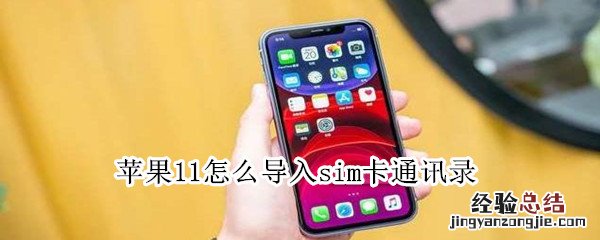 苹果11怎么导入sim卡通讯录