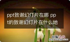 ppt致谢幻灯片在哪 ppt的致谢幻灯片在什么地方