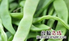 芸豆怎么保存 存放芸豆的方法