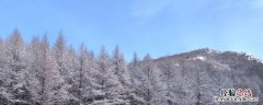 林海雪原第十五篇主要内容怎么写