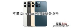 苹果12pro max可以微信分身吗