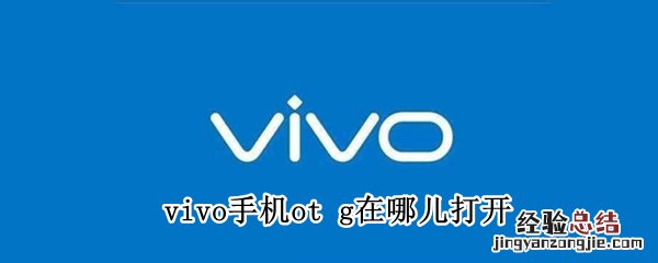 vivo手机ot g在哪儿打开