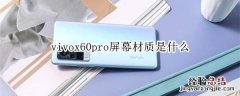 vivox60pro屏幕材质是什么