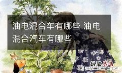 油电混合车有哪些 油电混合汽车有哪些