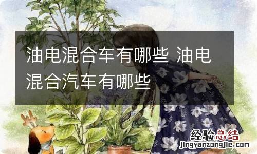 油电混合车有哪些 油电混合汽车有哪些