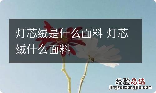 灯芯绒是什么面料 灯芯绒什么面料