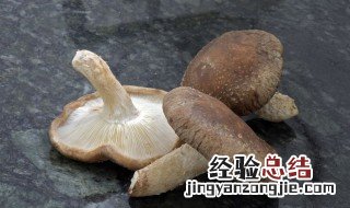 蘑菇是怎么生长出来的 蘑菇的生长过程介绍