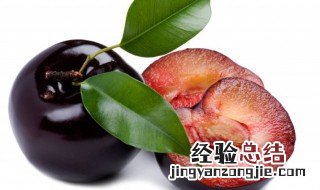 黑紫色的李子又叫什么 哪种李子是黑紫色的
