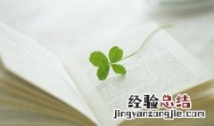 叶林后面加什么字好听 叶什么林好听男孩名字