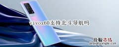 vivox60支持北斗导航吗