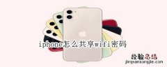 iphone怎么共享wifi密码