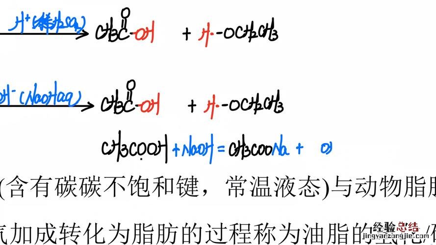 水解反应是取代反应吗