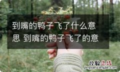 到嘴的鸭子飞了什么意思 到嘴的鸭子飞了的意思