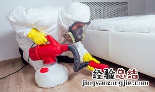 遇到蟑螂应该怎么处理 遇到蟑螂具体应该怎么处理