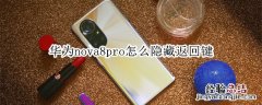 华为nova8pro怎么隐藏返回键