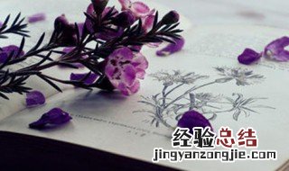 鼓励自己学习的话