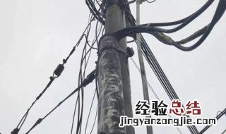 防止老鼠咬电线的妙招 怎么解决老鼠咬电线的妙招