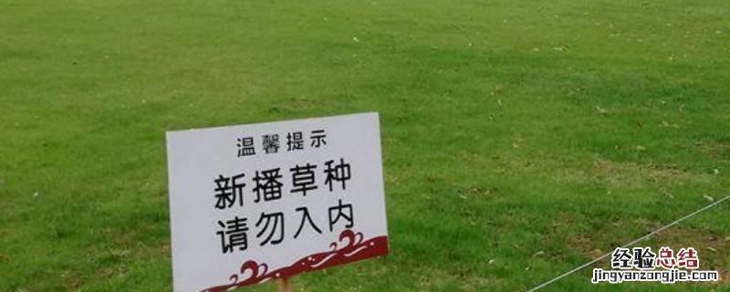 关于爱护草坪的宣传标语