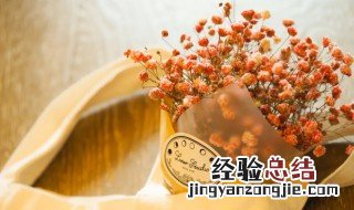 各种颜色满天星的花语是什么 橙色满天星的花语是什么