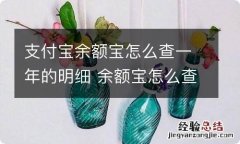 支付宝余额宝怎么查一年的明细 余额宝怎么查一年的明细