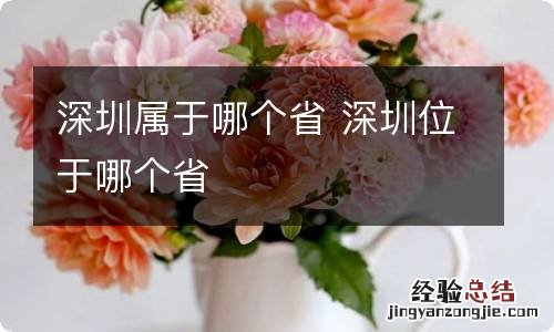 深圳属于哪个省 深圳位于哪个省