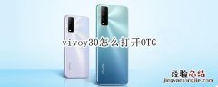 vivoy30怎么打开OTG