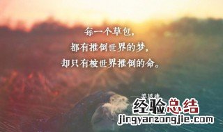 心灵鸡汤一句话 心灵鸡汤的一句话说说