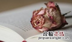 枯萎的玫瑰花代表什么意思 枯萎的玫瑰花代表什么