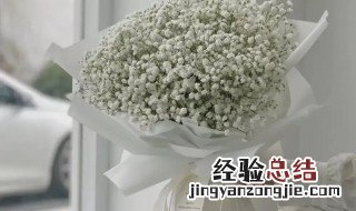 繁星花的花语 满天繁星的花语是什么