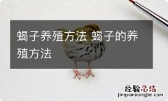 蝎子养殖方法 蝎子的养殖方法