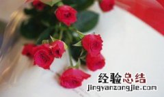 盆栽玫瑰花怎么修剪枝 盆栽玫瑰花怎么修剪