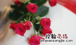 玫瑰花叶子枯萎了是什么原因呢怎么治 玫瑰花叶子枯萎了是什么原因呢