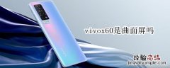 vivox60是曲面屏吗