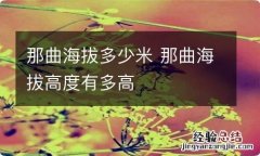 那曲海拔多少米 那曲海拔高度有多高