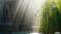 夏天的雨的特点