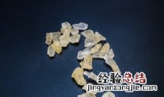 请问泡普洱茶里放冰糖可以吗 普洱茶能不能加冰糖