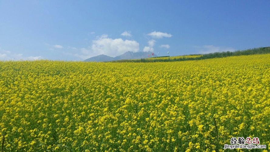 青海省有哪些旅游景点