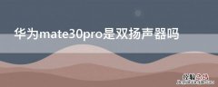 华为mate30pro是双扬声器吗