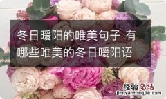 冬日暖阳的唯美句子 有哪些唯美的冬日暖阳语录