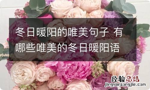 冬日暖阳的唯美句子 有哪些唯美的冬日暖阳语录