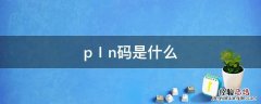 pⅠn码是什么