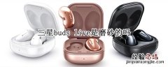 三星buds live是磨砂的吗