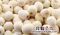 新鲜芡实怎么存放 新鲜芡实怎么存放最好