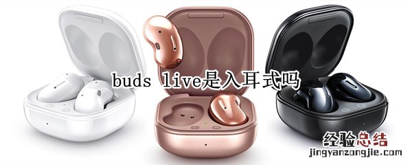 buds live是入耳式吗